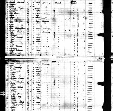 Click For Full Size Preview