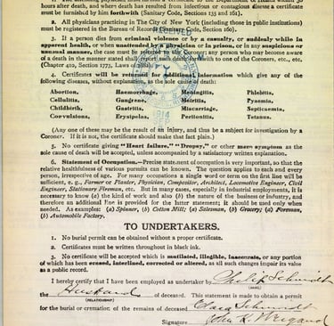 Click for FUll Preview