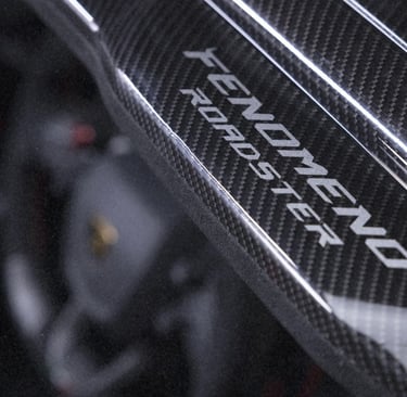 Close-up of Fenomeno Roadster logo on carbon fiber interior trim of a luxury supercar.