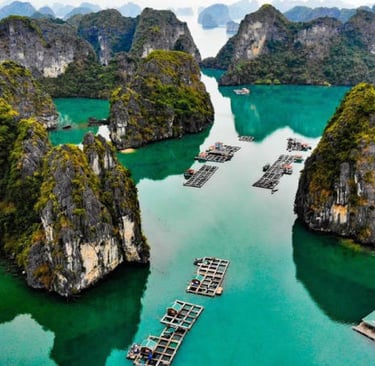 Baie de Tu Long