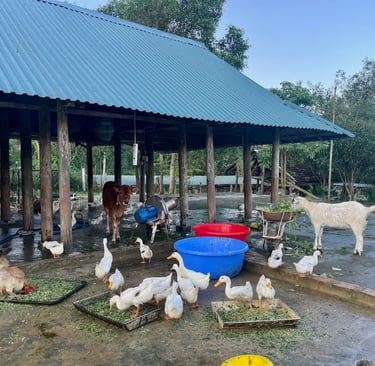 La petite ferme du Nguyen Shack Retreat à Phong Nha