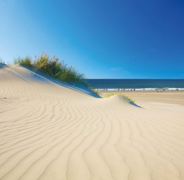 photo de la plage d'Hossegor