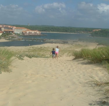 photo d'une vue aérienne d'une plage donnant sur le Lac Marin dans Les landes