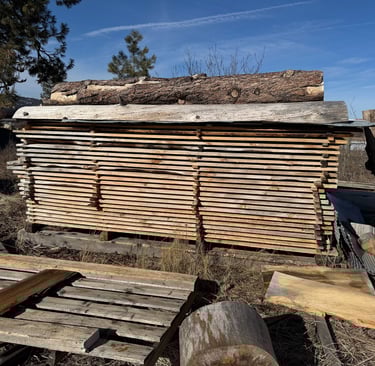 units of blued pine lumber drying naturally