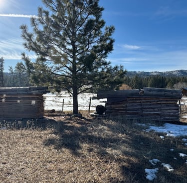 units of lumber drying naturally
