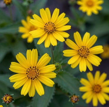 white concrete building
