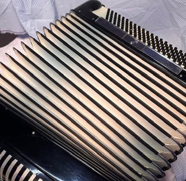 Accordion bellows