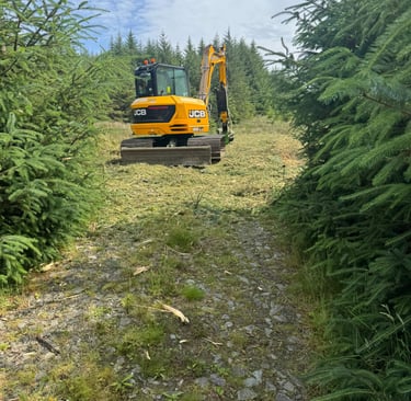 Mulching corridors, road side regen.