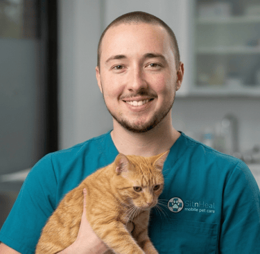 A smiling male aide in blue scrubs holding an orange tabby cat in a white room with cabinets