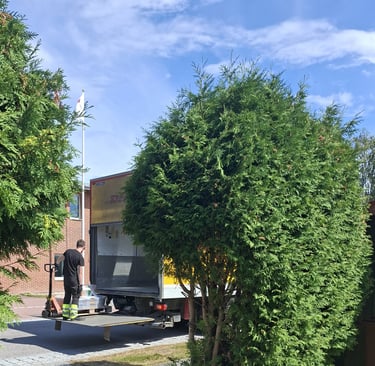 DHL enlève une palette de pots de peinture suédoise  en 2025 pour B to B