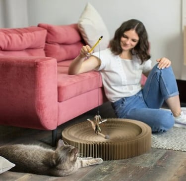 How Do You Stop Cats Scratching Sofas