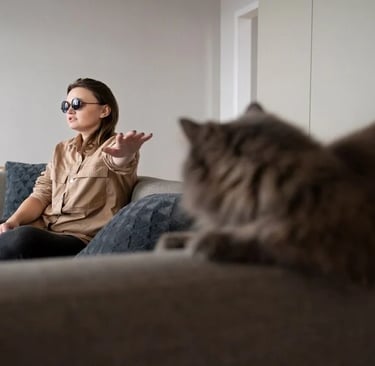 How to Stop a Cat Peeing on the Sofa