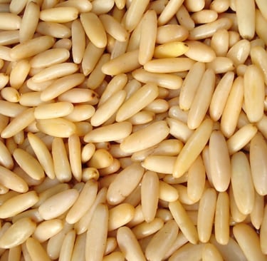 Shelled pine nuts kernels