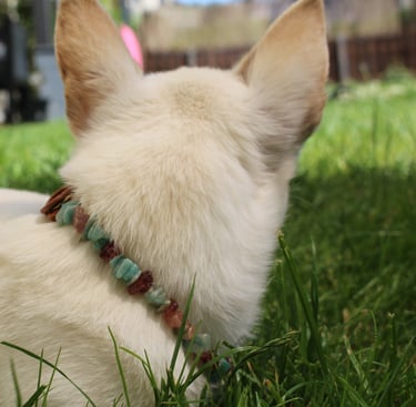 Heilsteinkette für Hunde Aquamarin mit Erdbeerquarz