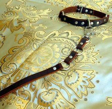 Matched set of leather collar and short leash.