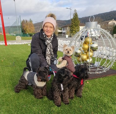Eleveur de Schnauzers en promenade