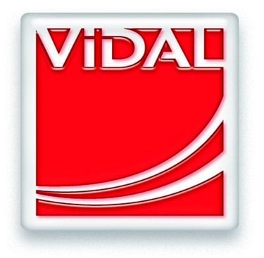 Vidal et le taichi
