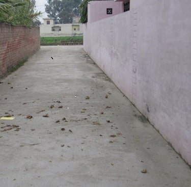 Street in Village Dhingrian 