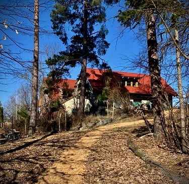 Der Hof