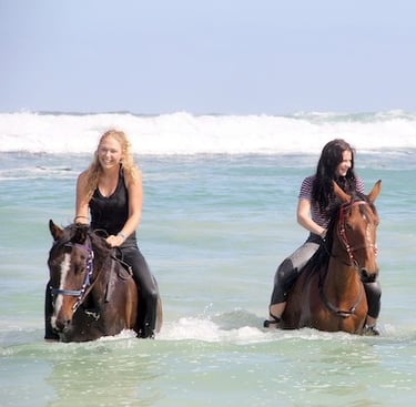 Pearly Beach Horse Trails Activities at White Shark Guest House in Gansbaai