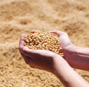 commodities