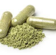 high polyphenol olive leaf extract