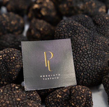 Trufa Pregiato Tartufo MA Land company