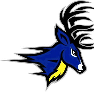 Deer Park DPHS DPMS Stags Spikes Go Stags Printing School