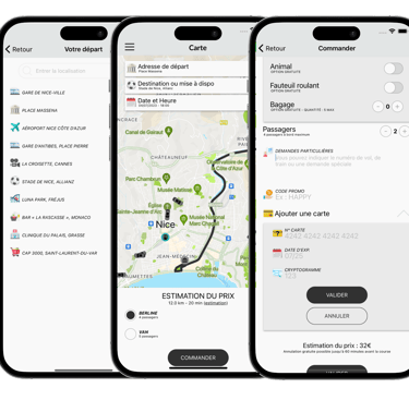 Application VTC à Lyon – Réserver un chauffeur privé avec Les Transports Lyonnais.