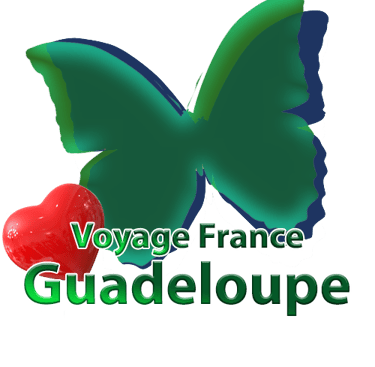 logo voyage france guadeloupe