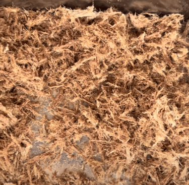 Carne Machaca