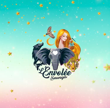 Boutique et énergéticienne l'envolée sauvages Avignon