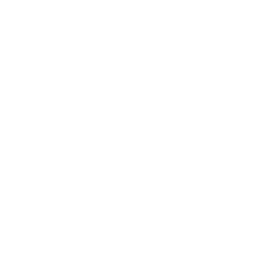 D5 Render