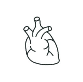 pictogramme coeur