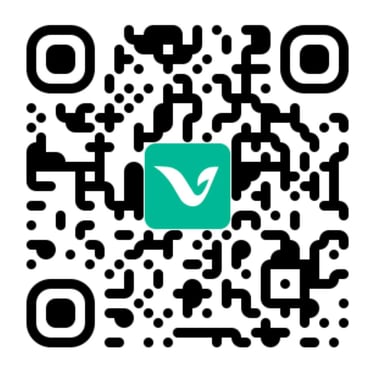 Redireccionamiento Vixi Usuarios