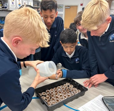 Students watering seedlings