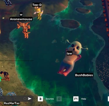 Shared by @BushBabyClub