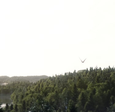 An animation tutorial using D5 Render