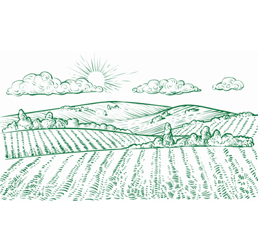 Icone montrant un champ qui représente le lien entre Kadiamor et Bourokk