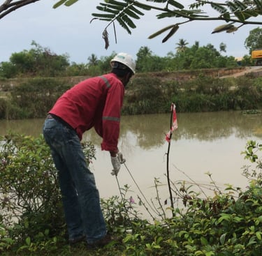 Water quality monitoring