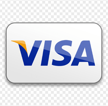 visa payment card icon.