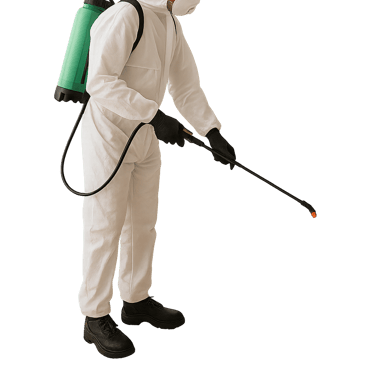 image-dératiseur-appliquant-produit-contre-punaises-de-lit