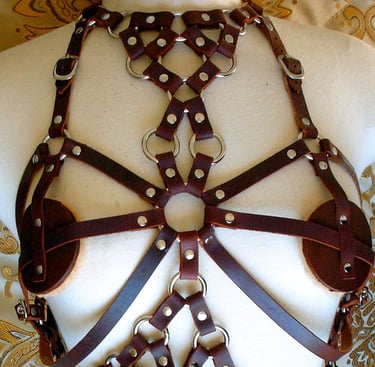 Full torso brown leather ring-work body harness.