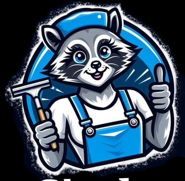 "les ratons laveurs 60 oise" "nettoyage de vitres oise" "nettoyage canapé tapis matelas oise"