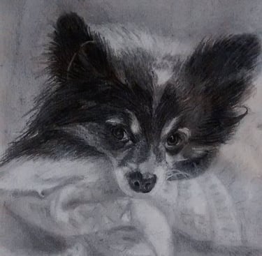 a black and white realistic charcoal drawing of a long-haired chihuahua on a blanket