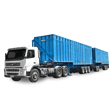 Caminhão canavieiro