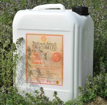 Biostimulant Thym Origan Sarriette