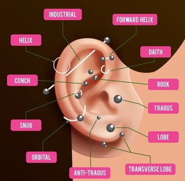 a diagram of a human earring with a diagram of the earrings
