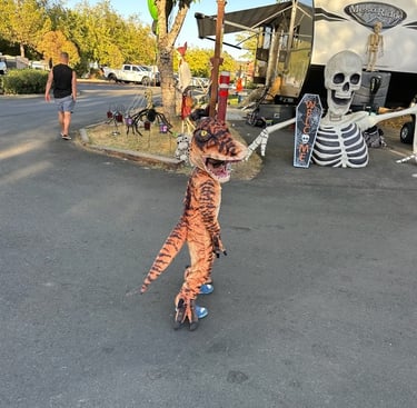 kid in costume halloween camping