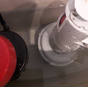 leaking toilet in Umberleigh